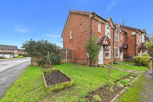 Front Garden- click for photo gallery